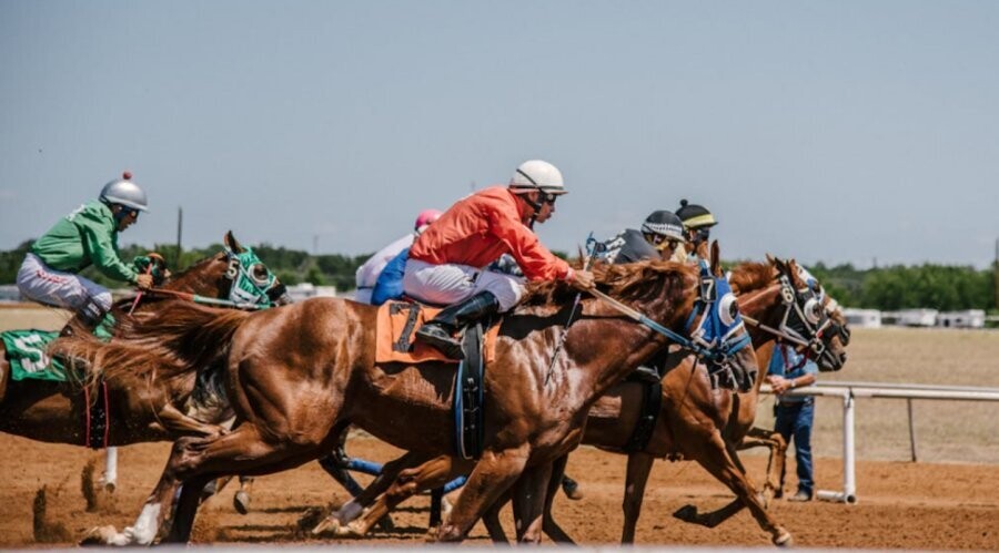 The Thrill and Legacy of Horse Racing in Panama