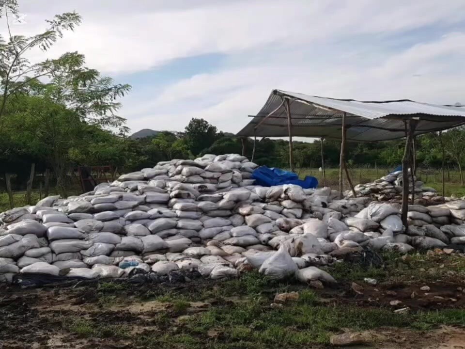 Приостановка работы птицефабрики из-за экологических нарушений в Панаме