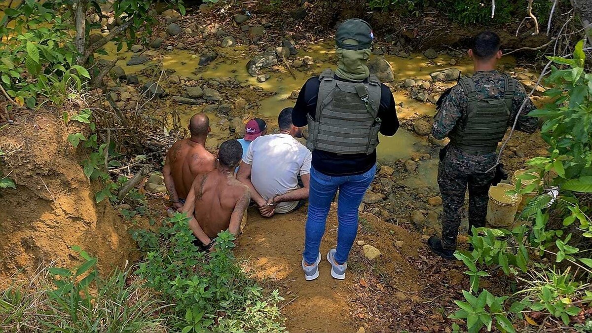 巴拿马边境局逮捕五名非法矿工