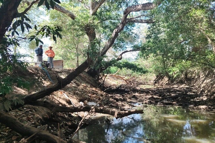 干旱威胁埃尔卡诺地区的农作物