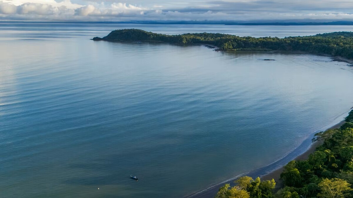 Фонд Безоса выделил $24,5 млн на защиту морских экосистем