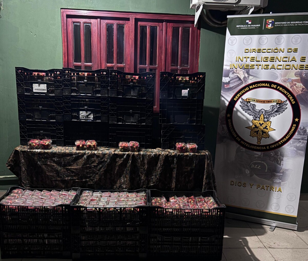 Panamanian Border Service Seizes Smuggled Strawberries