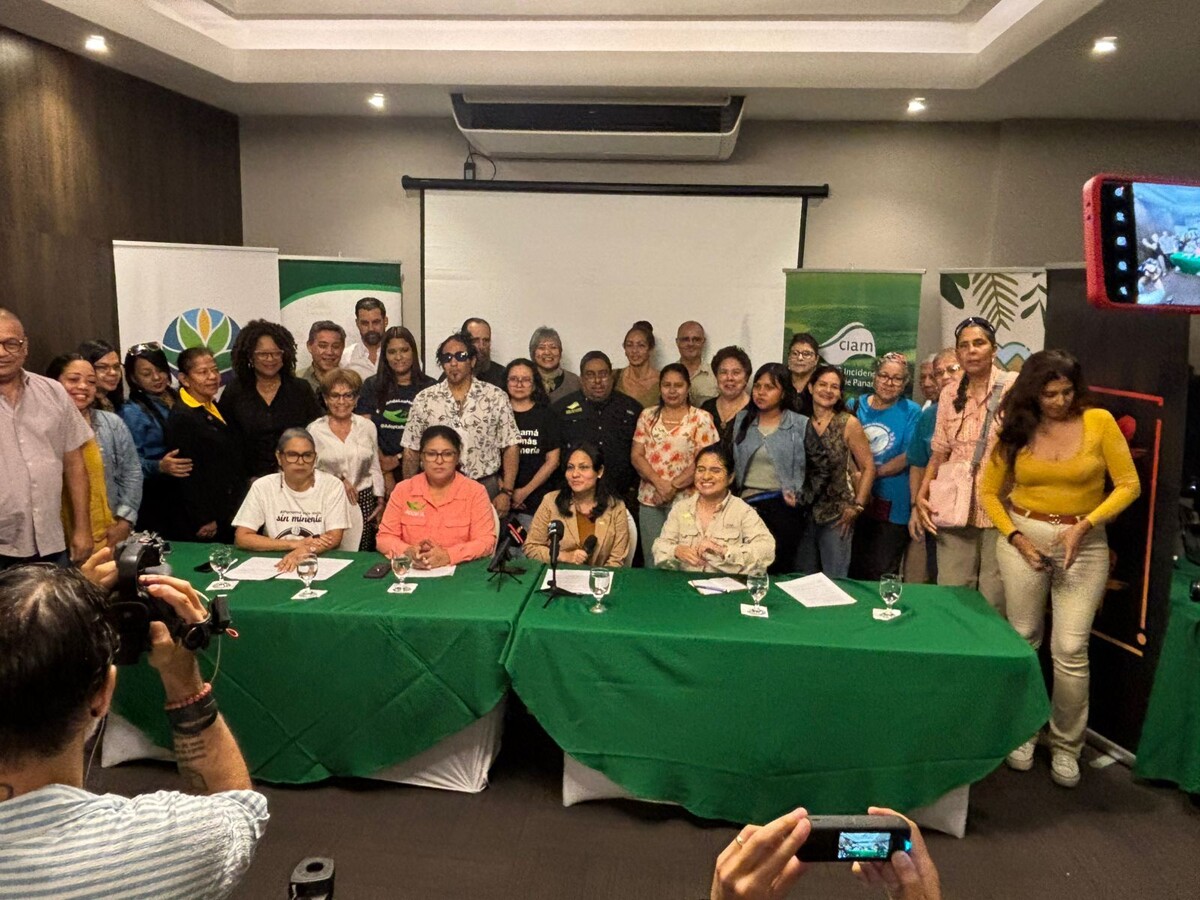 巴拿马 Puerto Barú 项目的法律纠纷