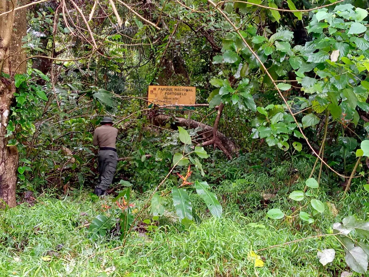 Усилен контроль за охраняемыми территориями в провинции Колон