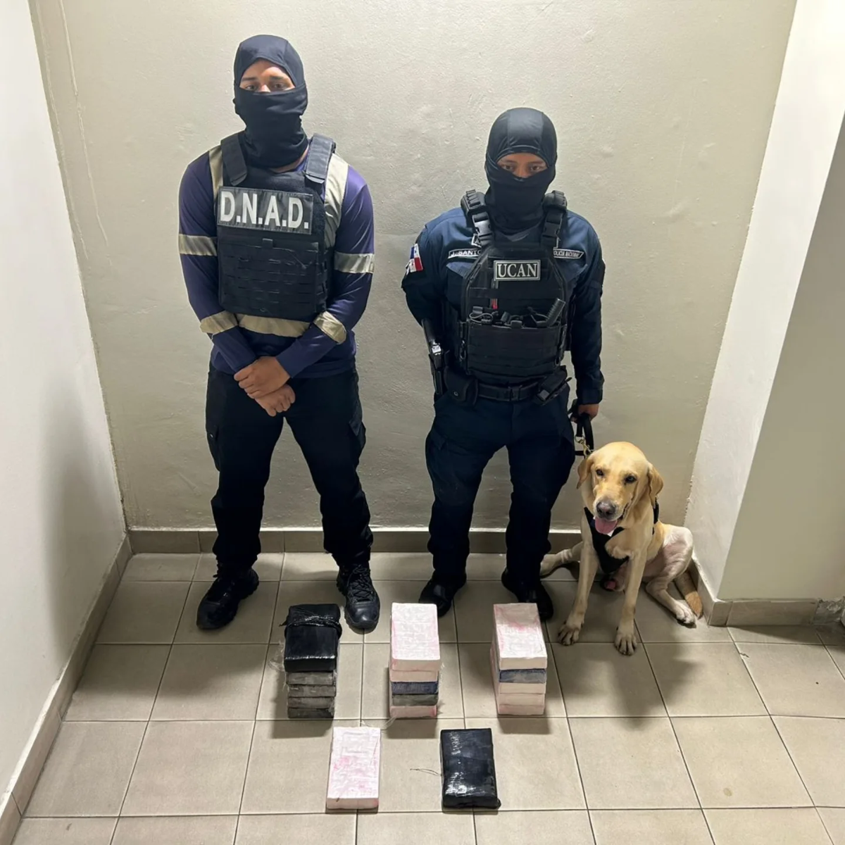 科隆港口天花板发现17包毒品