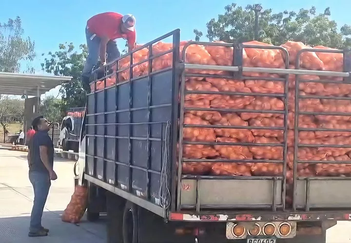 IMA Denies Quota Withdrawal from Onion Producer in Azuero