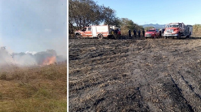 巴拿马消防员在查梅地区与森林火灾作斗争