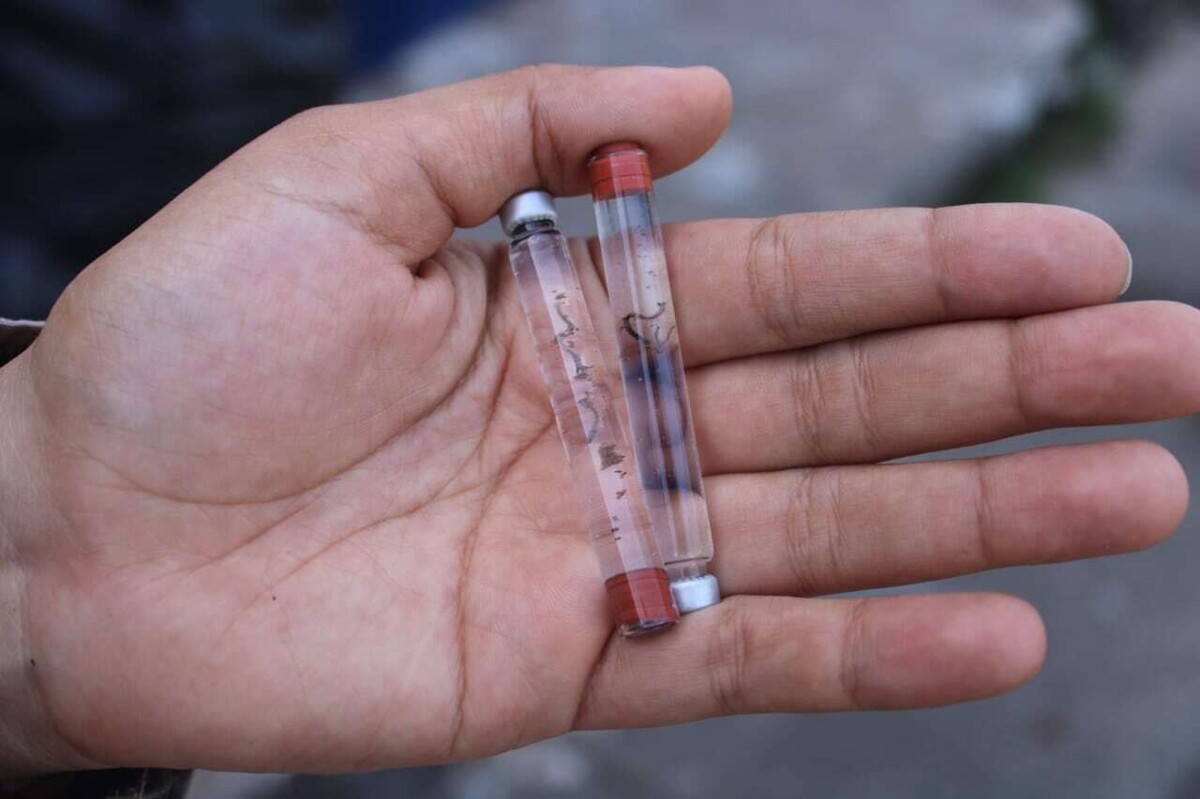 Significant Increase in Dengue Cases in Panama