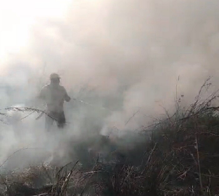 Panama Firefighters Extinguish Major Brush Fire in Chiriquí Province