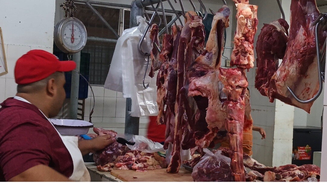 Santiago Market Sellers Face Livestock Price Hike and Tough Competition