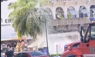 Panic on 5th Avenue: Bees Cause Stampede in Panama City