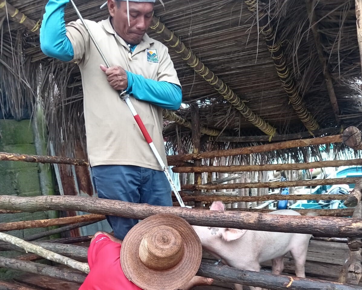 MIDA усилило ветеринарный надзор в Гуна-Яле