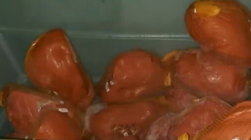 Investigation into Ham Resale in Panama's Naviferia Program