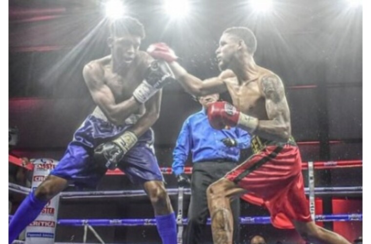 Panamanian boxer Estrada to fight for WBC title