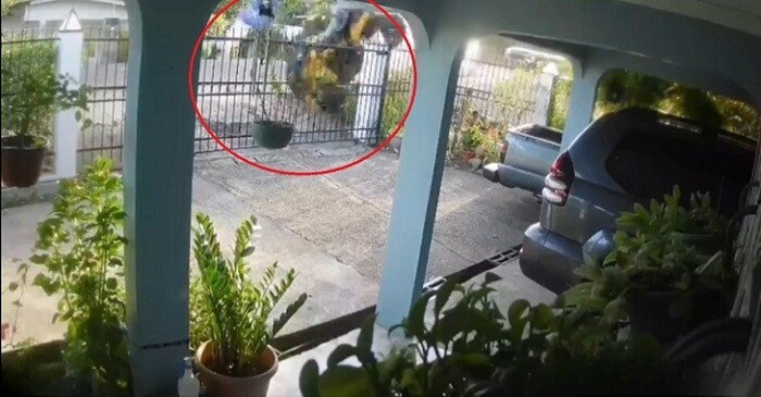 四轮车司机在贝拉瓜斯州严重车祸中幸存