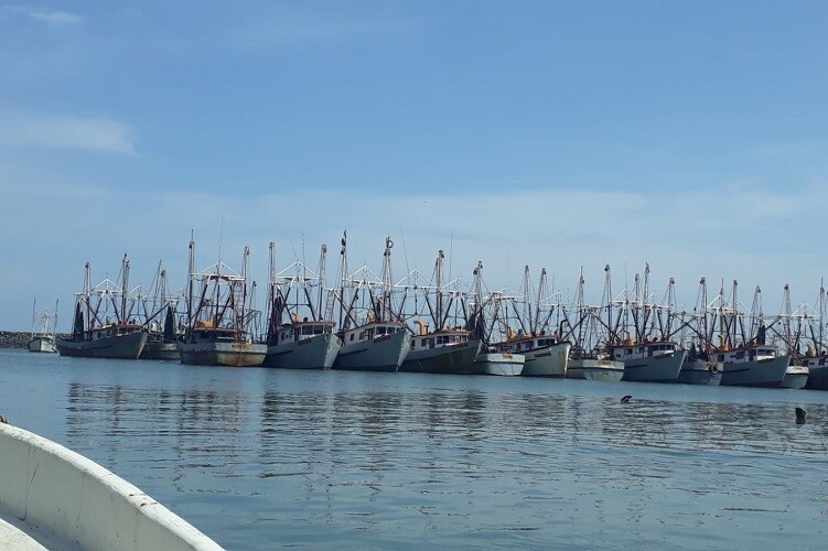 巴拿马启动渔业卫星监视中心