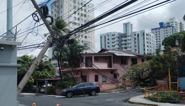 Árbol cae en Carrasquilla y deja sin luz a varios sectores