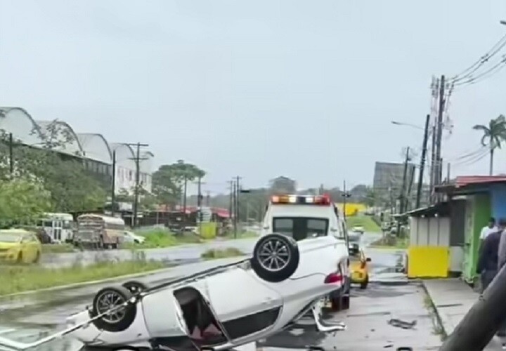 Tree Falls and Traffic Accidents in Colón