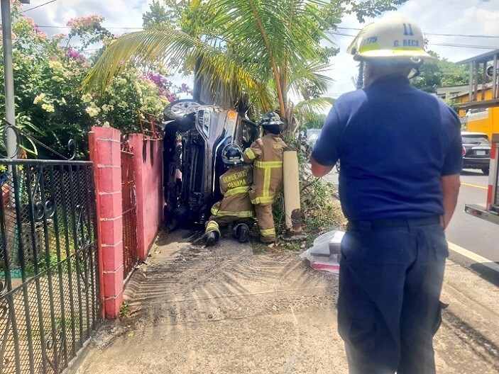 Unusual Traffic Accident in Panama: Driver Survives After Car Gets Stuck Between Palm Tree and Fence