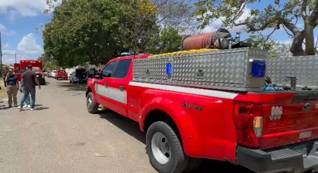 Bee attack during religious ceremony in Panama