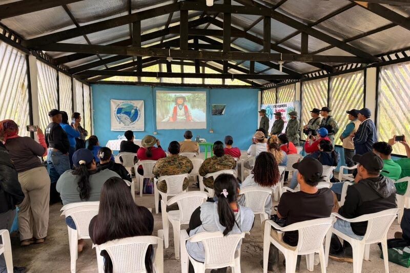 圣圣庞德萨克湿地国家公园海龟保护工作加强