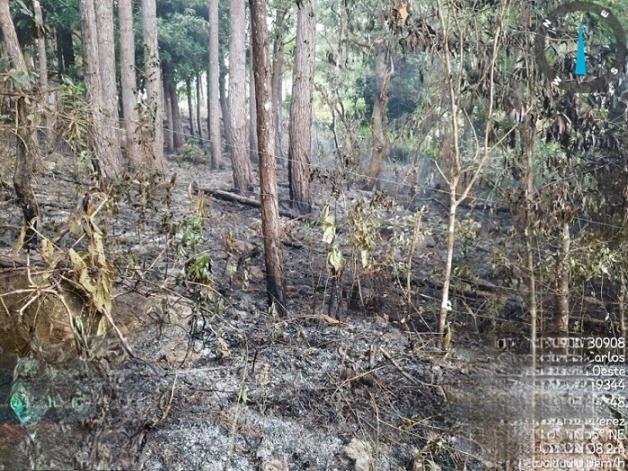 Three Fire Crews Deployed in West Panama