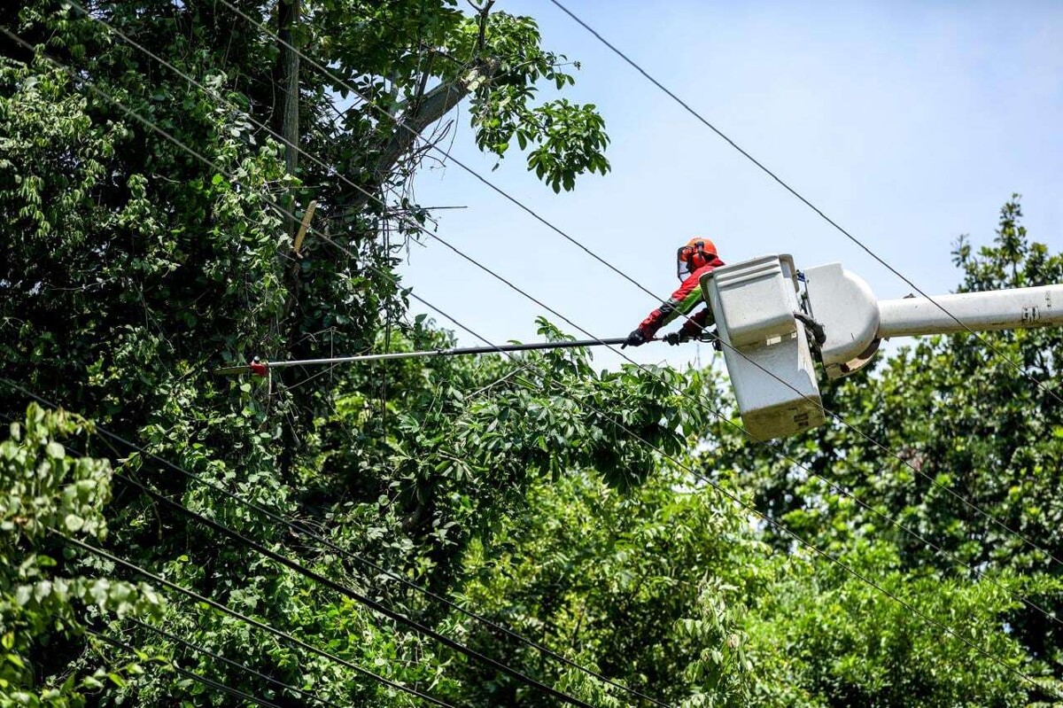 Update Your Data for Maintenance Work Information