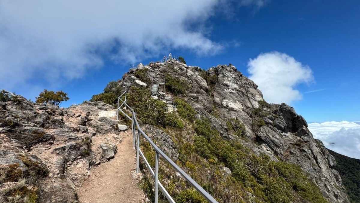 MiAmbiente зарегистрировало 124 отчета о нарушениях в заповедниках во время Карнавала