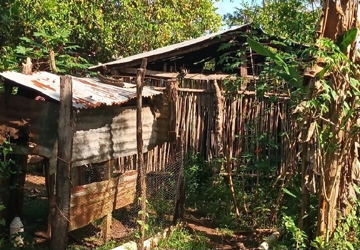 Veraguas Closes 2025 Between Emergencies, Social Challenges, and Solidarity