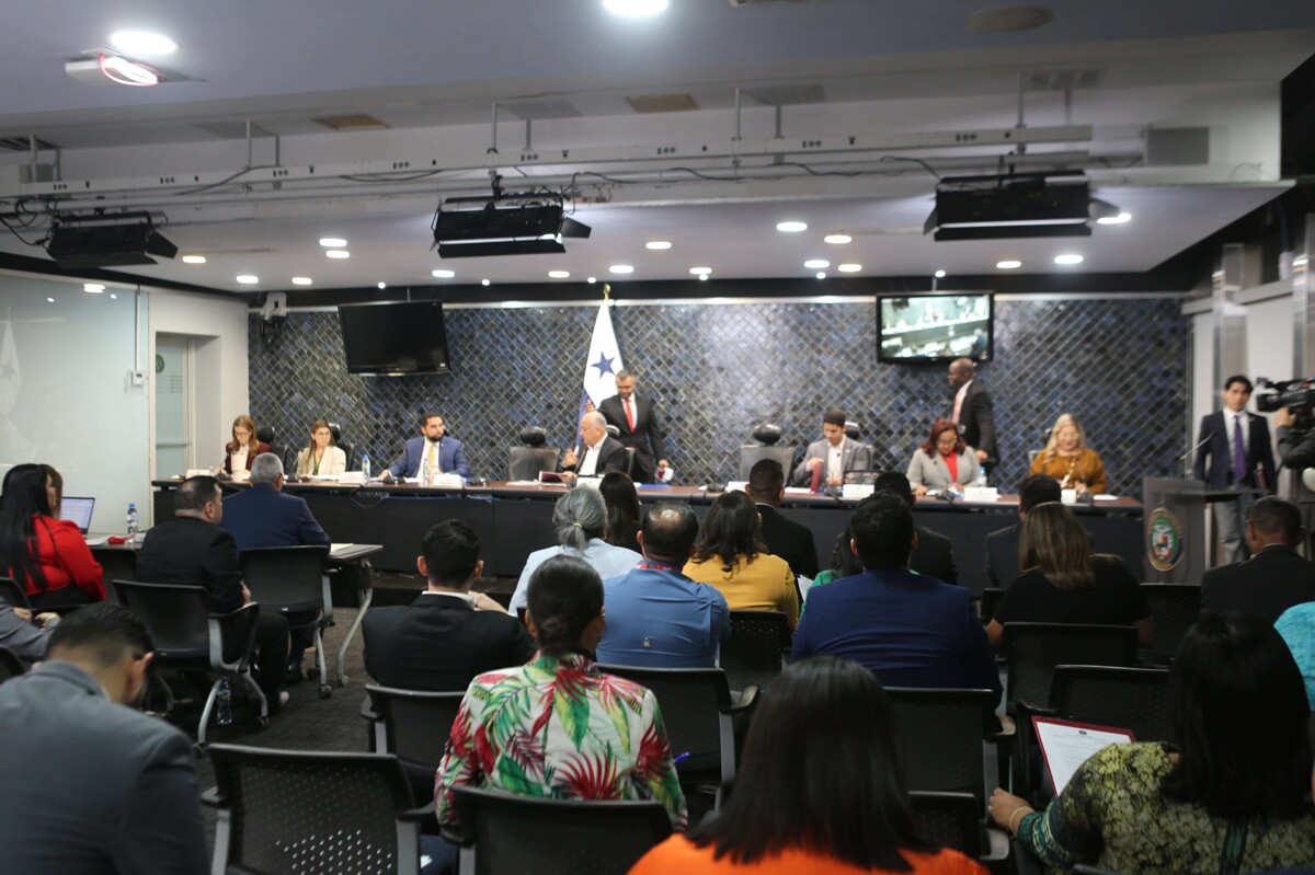 巴拿马监察员的独立性与专业化