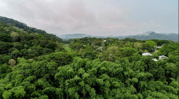 Панама станет мировым центром борьбы с опустыниванием и засухой