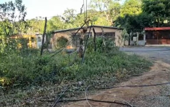 Strong Winds Down Trees, Cause Damage in Chiriquí