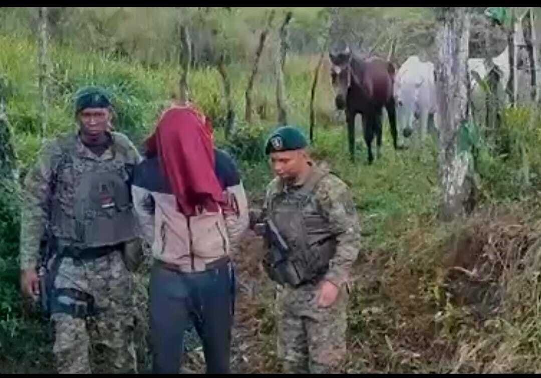 Задержан вор лошадей в провинции Чирики