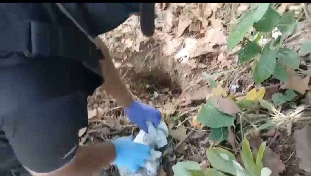 Police Apprehend 197 People in 'Firm Plan'