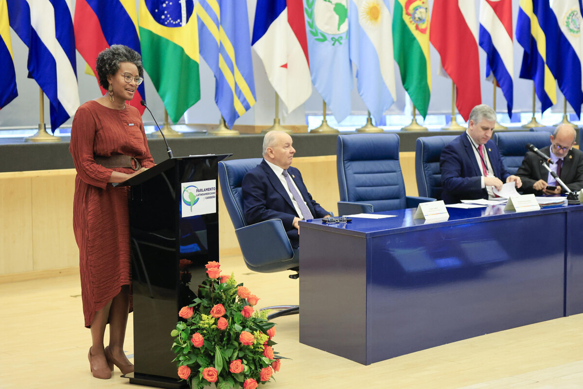 Parlatino成为首个支持灾害保护条约的议会