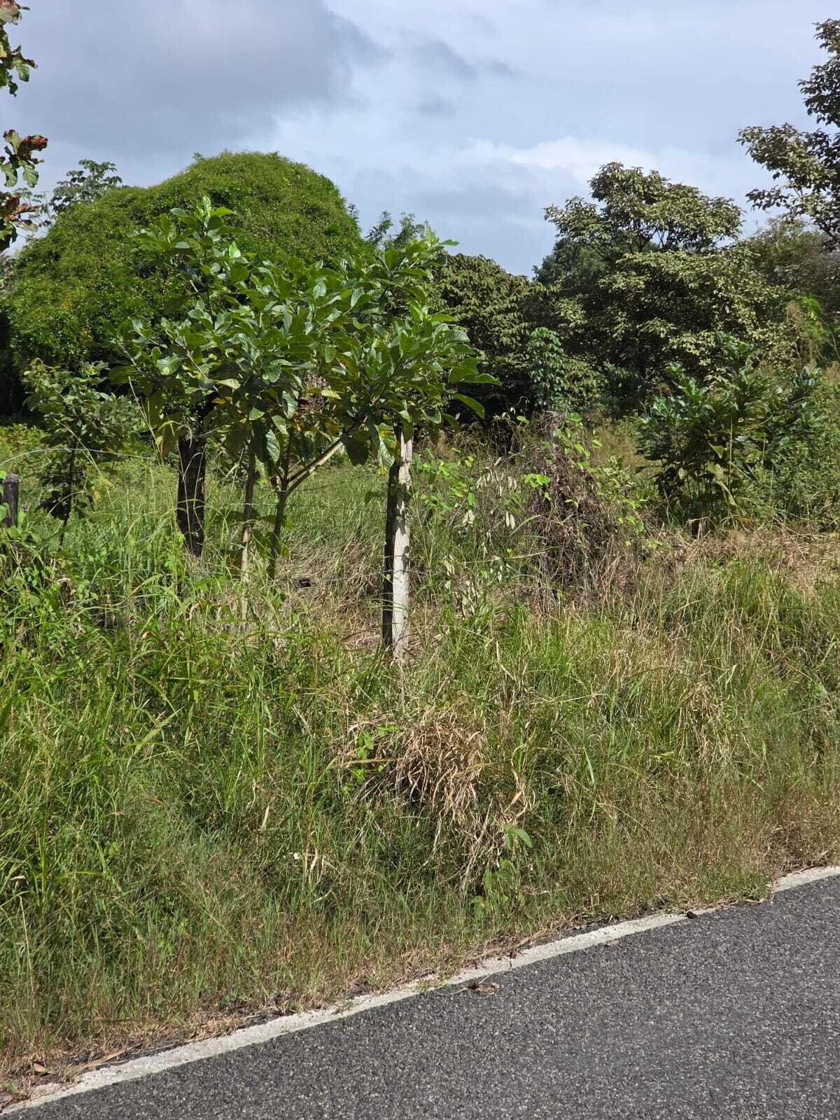 Inspection Postponed, New Doubts Over Former Deputy's Conduct