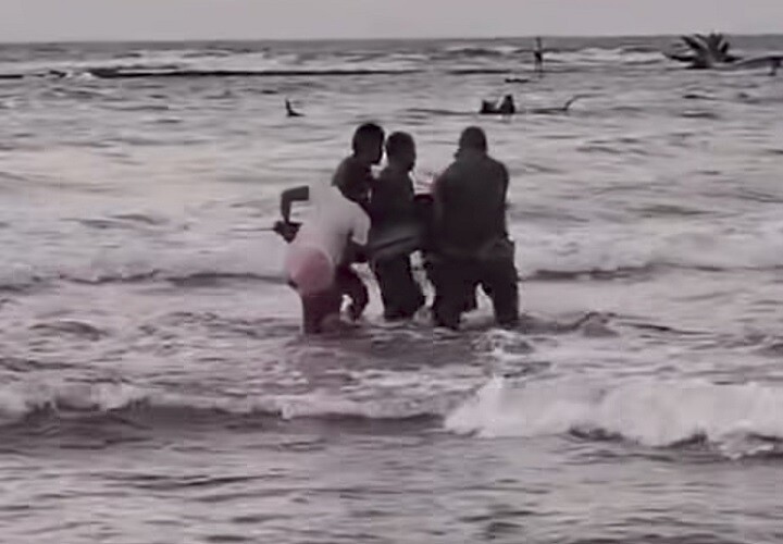 Dolphin Rescued on Costa Abajo Coast