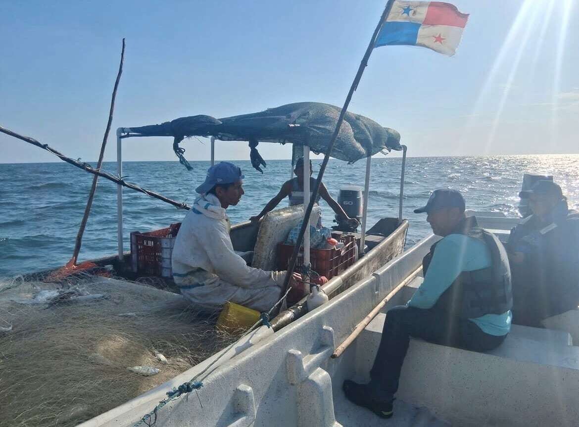 Panama Reopens Shrimp Fishing Season