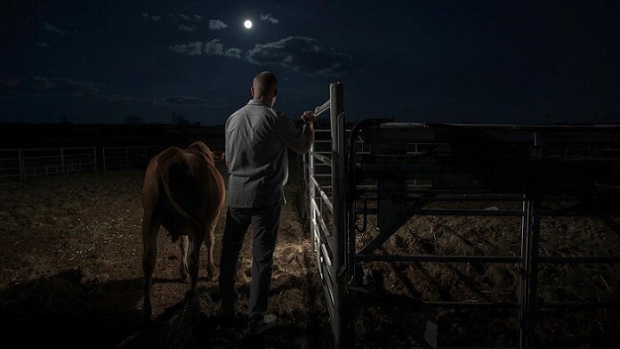Fatal Farm Accident in Panama