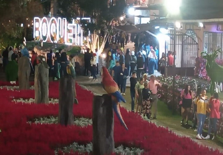 博克特第53届国际花卉与咖啡博览会