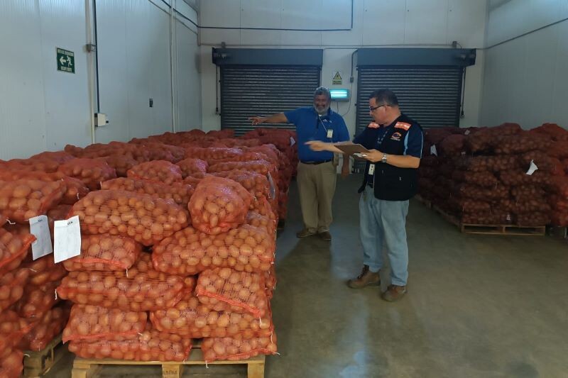 ACODECO and MINSA detect irregularities in onion commercialization in Herrera