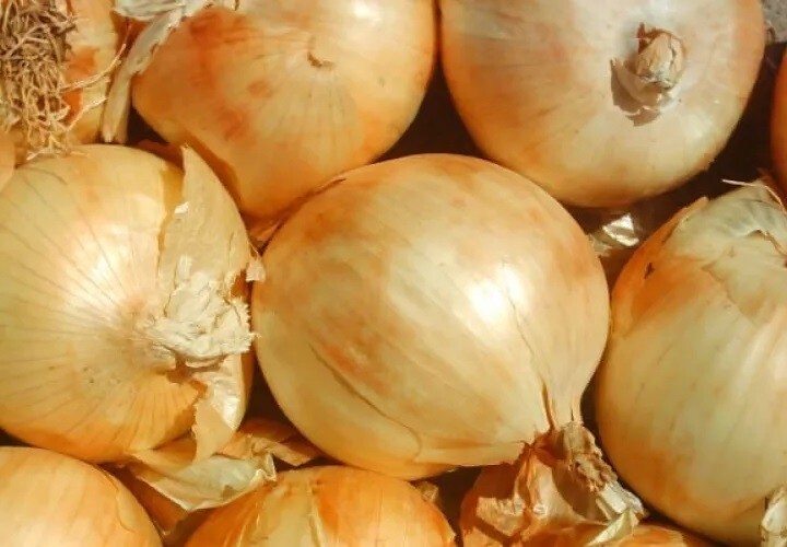 Panama's Onion Shortage: Artificial Crisis or Real Scarcity?