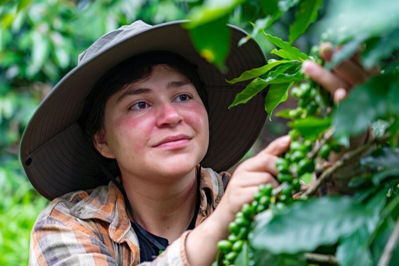 Nestlé Drives Generational Renewal with Virtual Courses for Young Coffee Growers