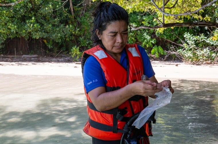 Four New Ancient Fish Species Discovered in Panama