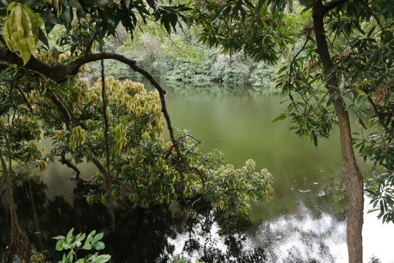 Community and MiAMBIENTE Drive Environmental Restoration of Lake in San Miguelito