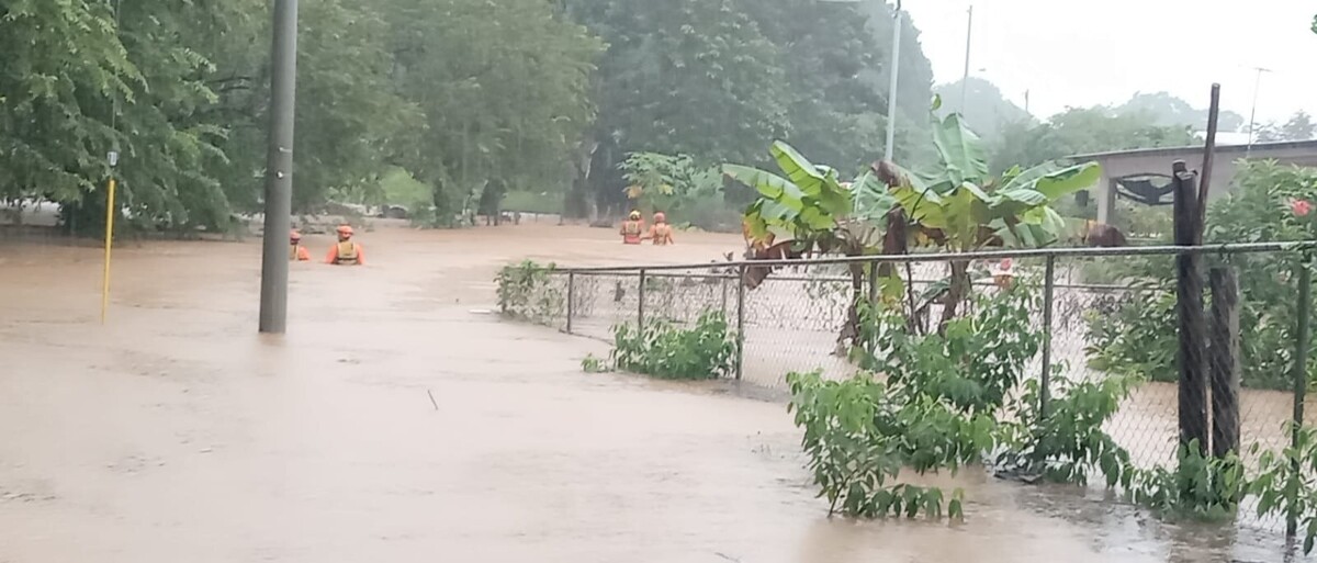 Impact of Rain on Agricultural Crops in Panama