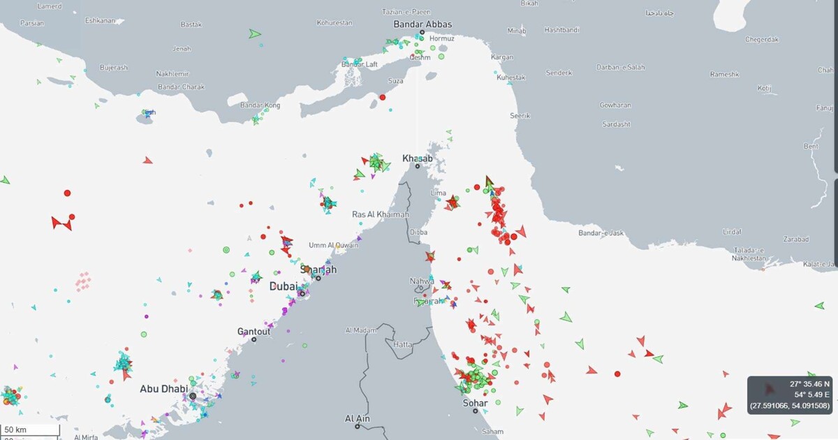 War: Global Consequences and Human Cost