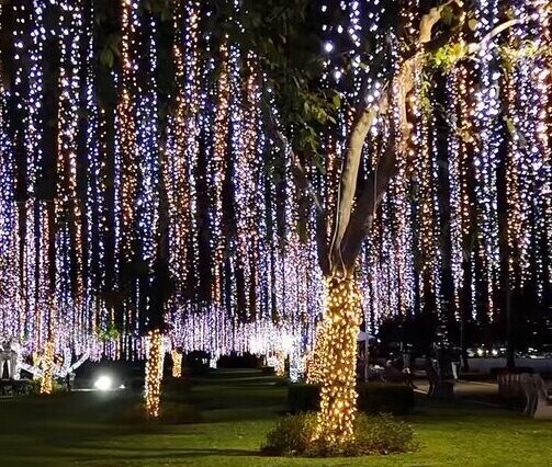 Panama City Kicks Off Christmas Season with Spectacular Light-Up