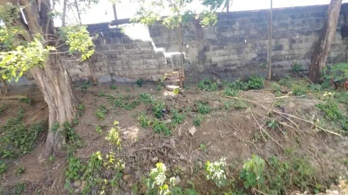 Wall Collapse at Chepo Stadium Exposes Official Neglect