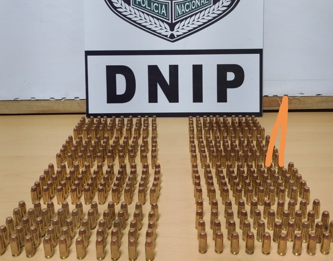 390 cartridges of various calibers seized in Panama